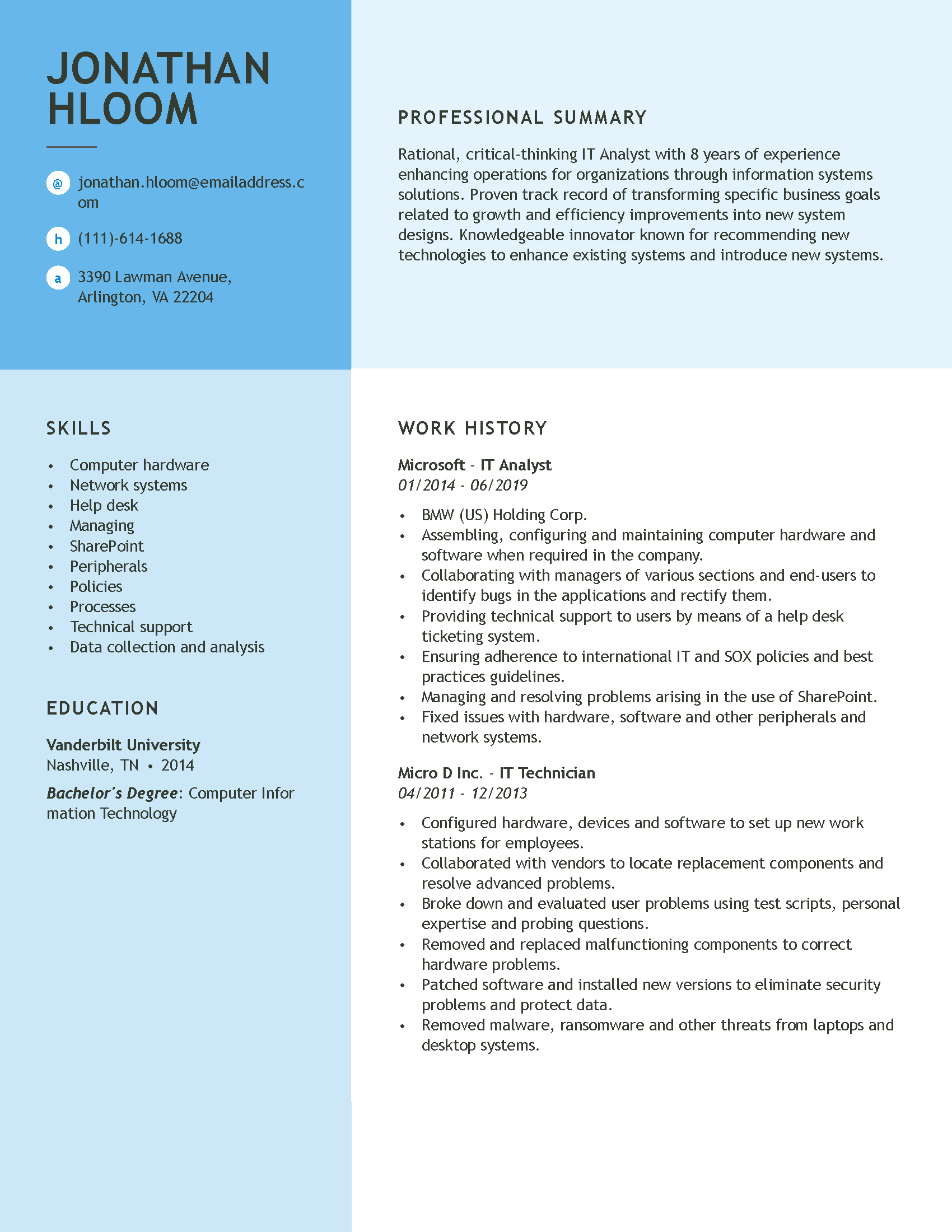 resume sample for it professional
